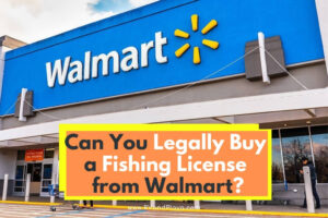 Walmart Fishing License Iowa