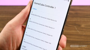 Dolphin Emulator Android Settings