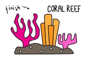 How To Draw Coral