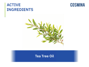 Where Is Tea Tree Oil In Walmart