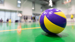 2006 Volleyball Massacre Png