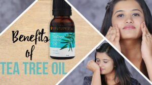 Where Is Tea Tree Oil In Walmart