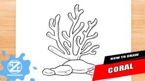 How To Draw Coral