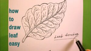 How To Draw Weed Leaf